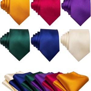 Barry.Wang Men Tie Classic Silk Gift Necktie With Tie Clip Jacquard Woven Neck Ties 6PCS Formal Wedding